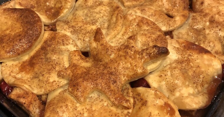 Easy Single Crust Spiced Apple & Cranberry Pie Recipe